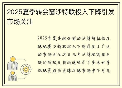 2025夏季转会窗沙特联投入下降引发市场关注 2025夏季转会窗沙特联投入下降引发市场关注