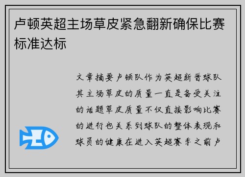 卢顿英超主场草皮紧急翻新确保比赛标准达标 卢顿英超主场草皮紧急翻新确保比赛标准达标